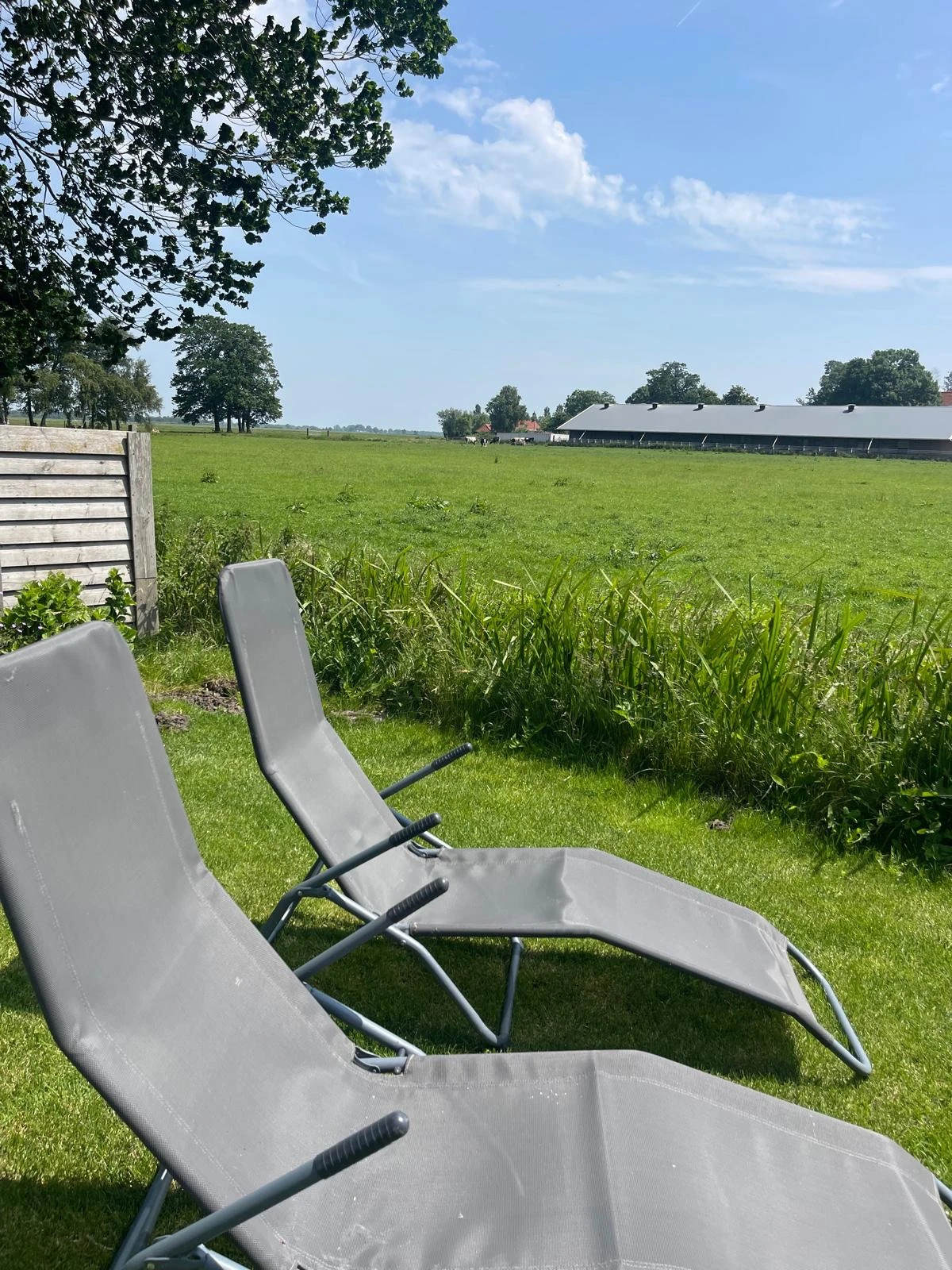 photo - B&B Bij de Roosjes