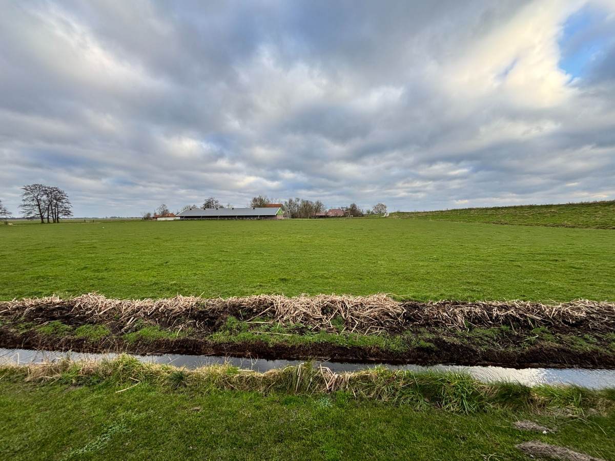 photo - B&B Bij de Roosjes